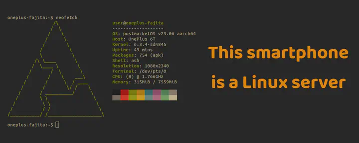 Output of the neofetch command on a OnePlus 6T running postmarketOS