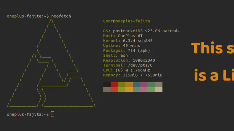 Self-hosting on a Linux smartphone [Smartphone Revival Project]