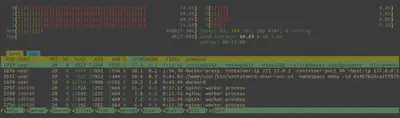 CPU and RAM usage during performance testing - as shown by htop